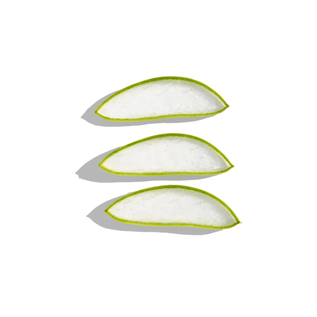 TOALLITAS DESMAQUILLANTES ALOE VERA PIEL SENSIBLE 40U.-BYPHASSE