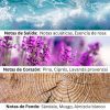 PERFUME ACQUA HOMME 100ML- JEANNE ARTHES 5 3430750573481 3